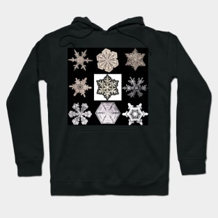 Wilson Bentley's Snowflakes Hoodie